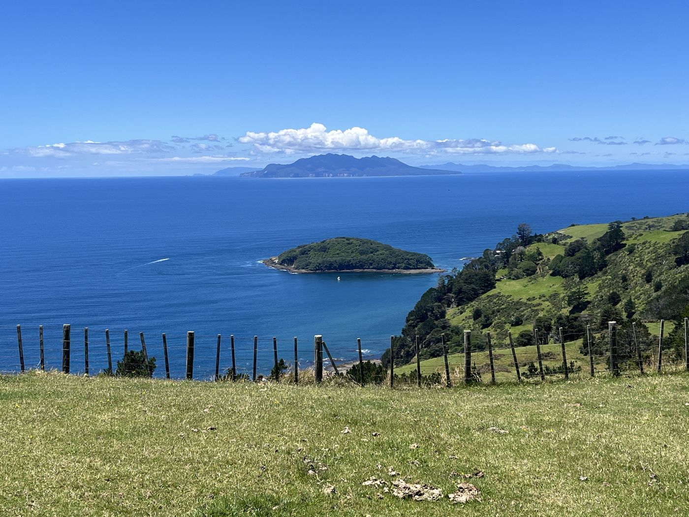 Coastal panorama